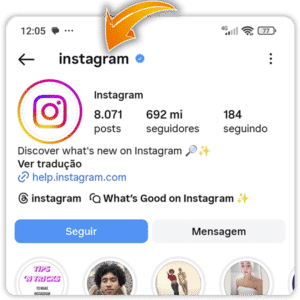 Tela mostrando onde identificar usuário do Instagram