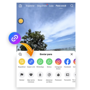 Captura de pantalla que muestra cómo copiar un enlace de video de TikTok.