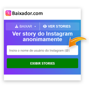 Tela mostrando onde preencher nome de usuário do Instagram