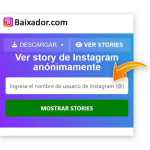 Pantalla que muestra dónde ingresar el nombre de usuario de Instagram.