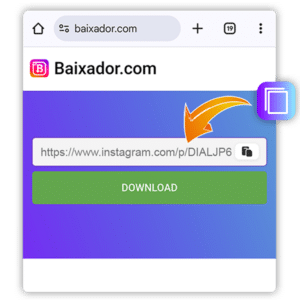Imagen que muestra dónde insertar la URL en el descargador.