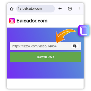 Imagen que muestra dónde insertar la URL en el Baixador.