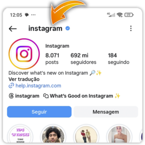 Captura de pantalla que muestra cómo identificar a un usuario de Instagram.